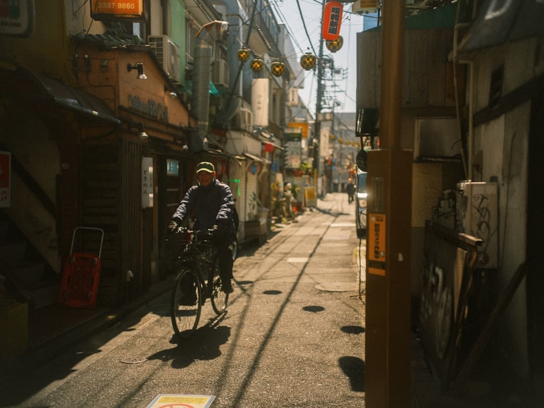 社区重阳节活动方案